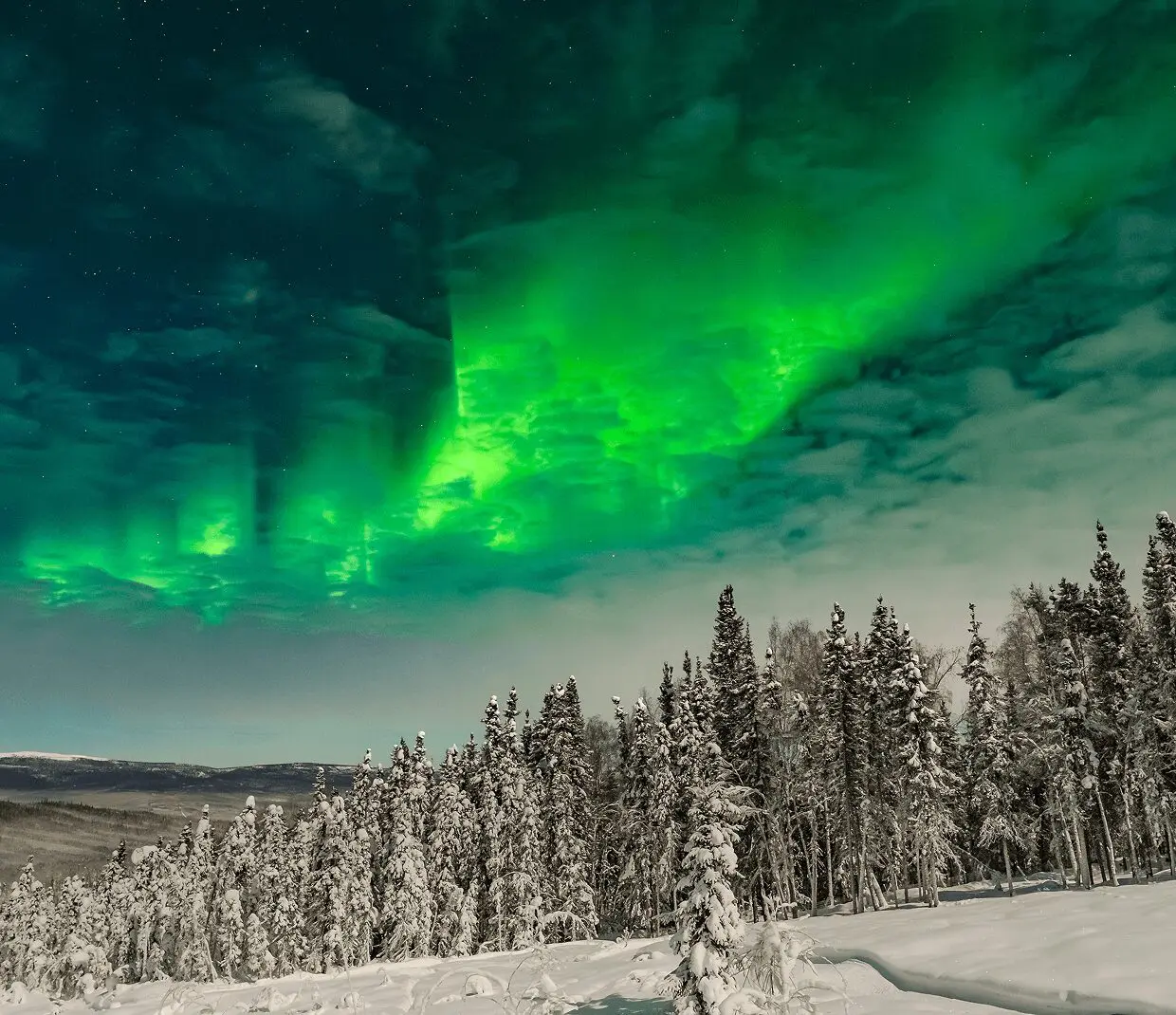 Aurora borealis illuminating winter night sky